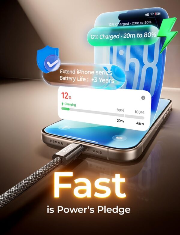 LISEN USB C Cable, 5-Pack [3.3/3.3/6.6/6.6/10FT]